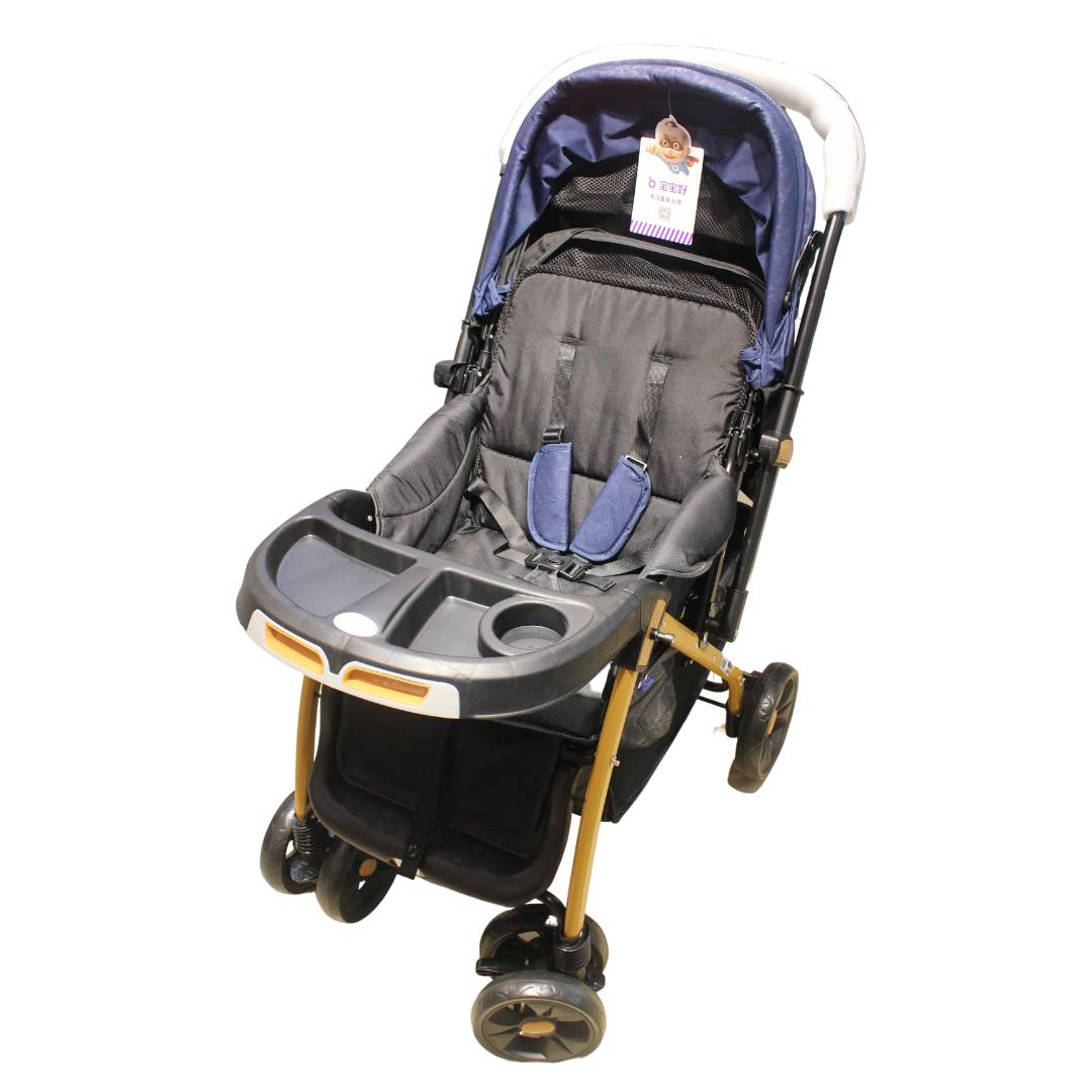 Exclusive Stroller Blue with Multi Function Feature