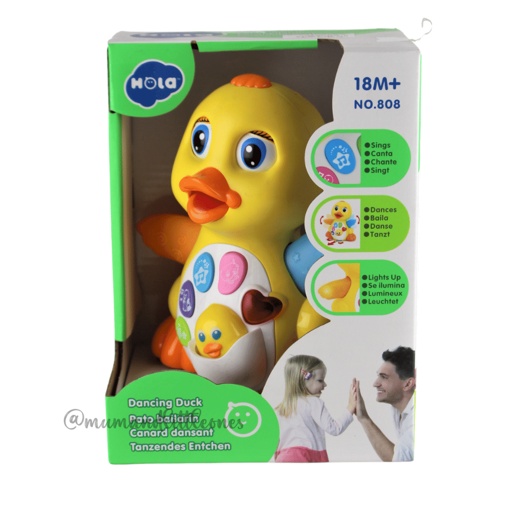 HOLA 808 Musical Toys for Baby